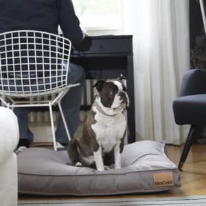 Coussin pour chien design – LINO