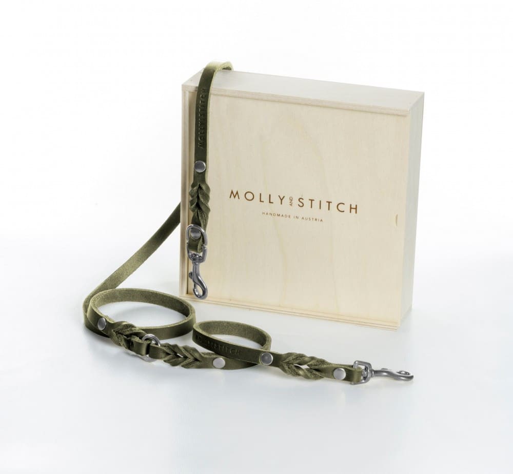 Biscuits pour chien fait maison - PETITE QUENOTTE (miel-vanille) Biscuits pour chien fait maison - PETITE QUENOTTE (miel-vanille)