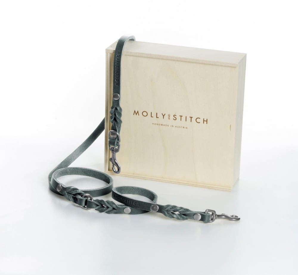 Biscuits pour chien fait maison - PETITE QUENOTTE (miel-vanille) Biscuits pour chien fait maison - PETITE QUENOTTE (miel-vanille)