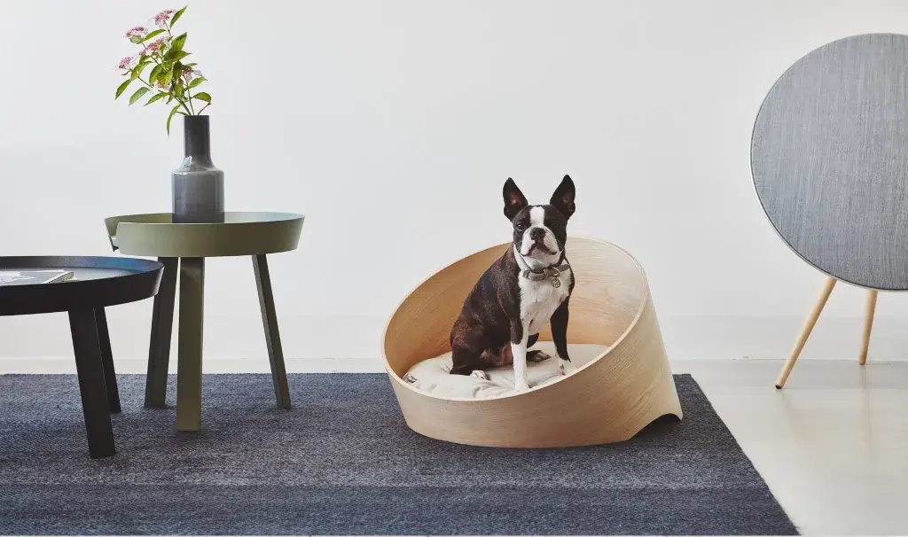 Canapé lit en bois de luxe pour chien - COVO