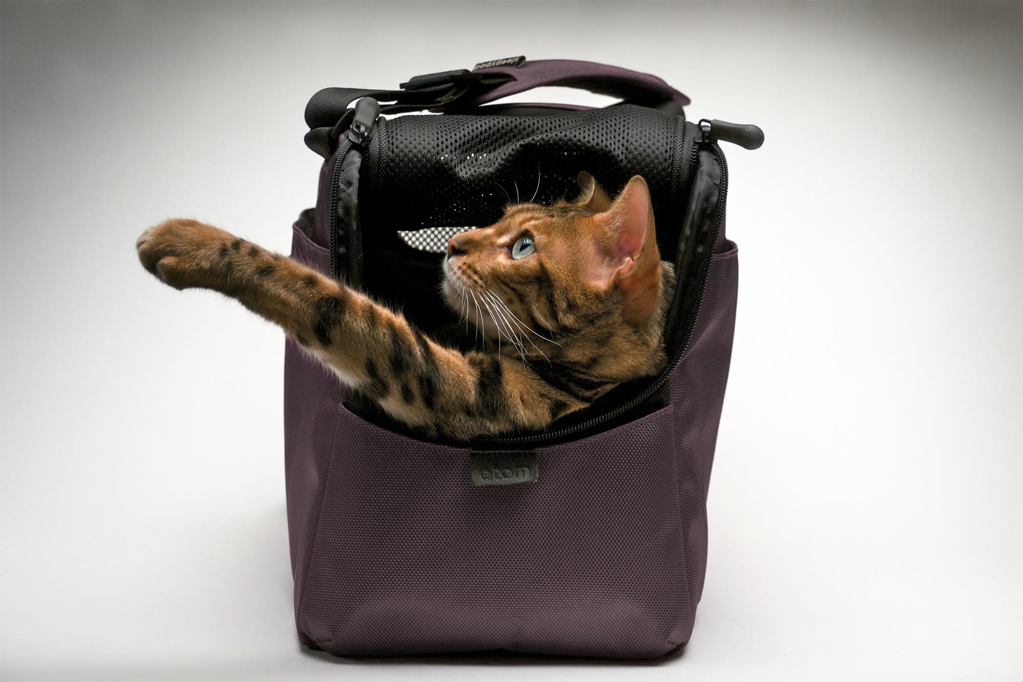 SLEEPYPOD Atom - Chocolat SLEEPYPOD Atom - Chocolat