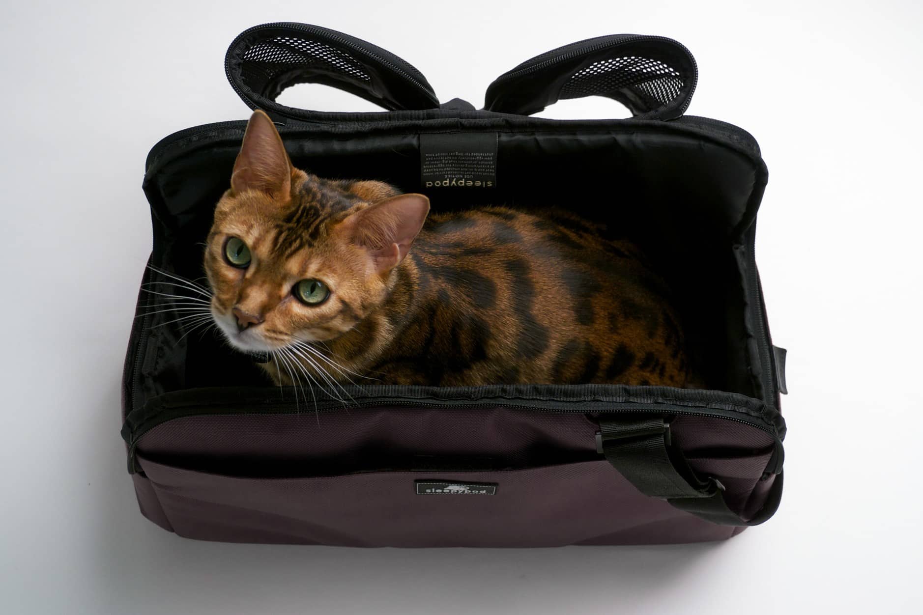 SLEEPYPOD Atom - Chocolat SLEEPYPOD Atom - Chocolat