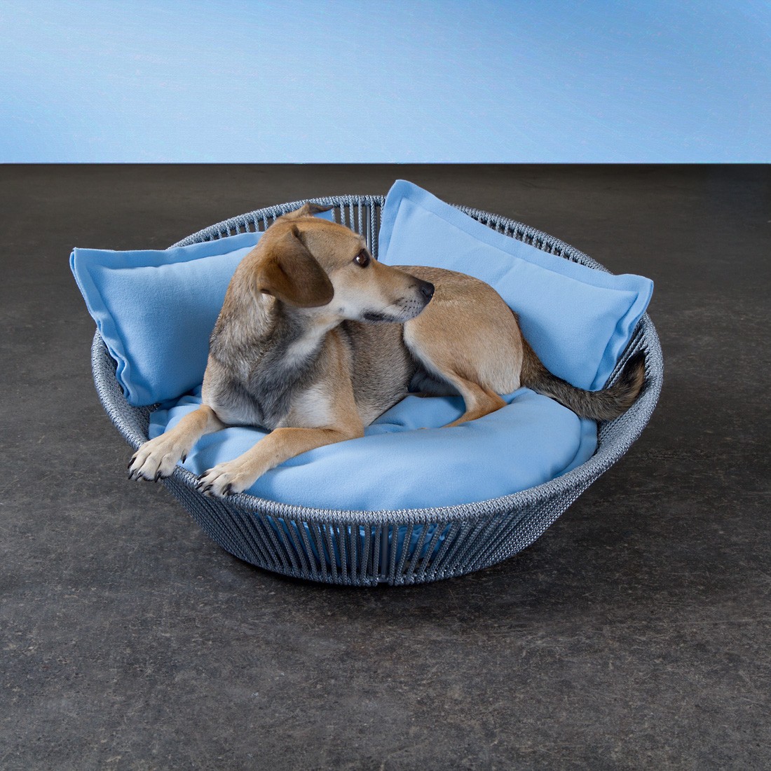 Panier chien chat - SIRO TWIST Panier chien chat - SIRO TWIST