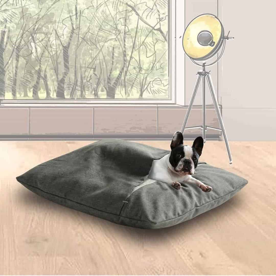 DIVAN DUE PET INTERIORS DIVAN DUE PET INTERIORS