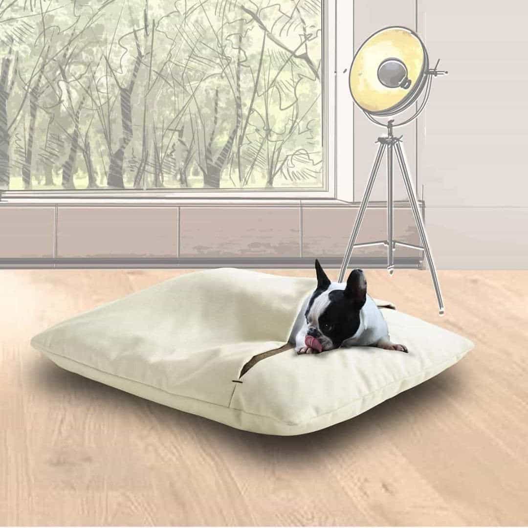 DIVAN DUE PET INTERIORS DIVAN DUE PET INTERIORS