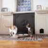 catbar gamelle porcelaine pour chat design en bois