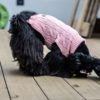 Pull pour chien - ASPEN Rose tendre