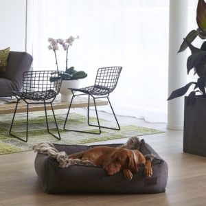 Panier de luxe design pour chien – NUBE