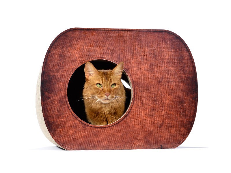 Griffoir niche en carton pour chat - BROCHHAUS JNR
