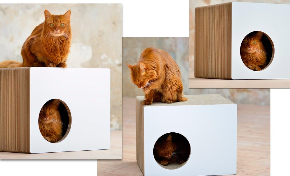 Griffoir maison en carton pour chat - PREDIA EKHAUS Griffoir maison en carton pour chat - PREDIA EKHAUS