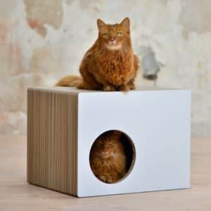 Griffoir maison en carton pour chat - PREDIA EKHAUS