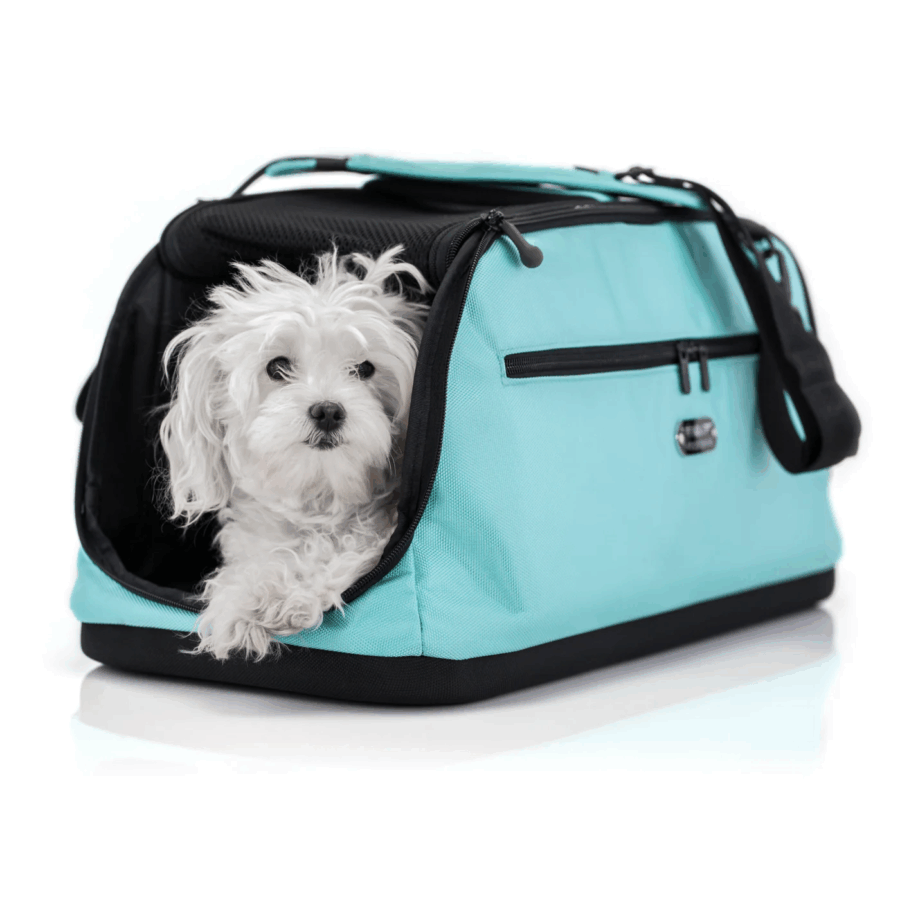 SLEEPYPOD AIR AVION CHIEN CHAT
