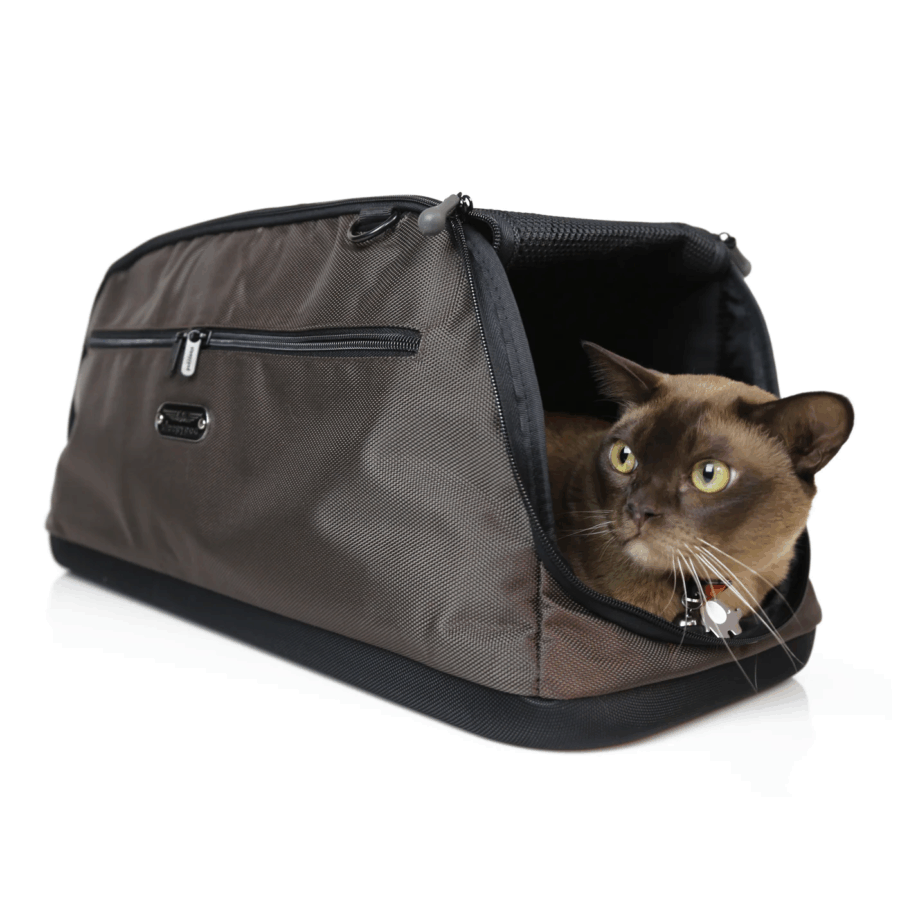 SLEEPYPOD AIR AVION CHIEN CHAT