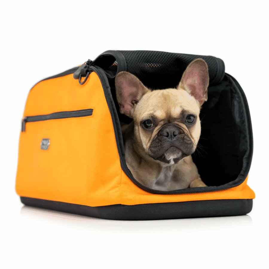 SLEEPYPOD AIR AVION CHIEN CHAT