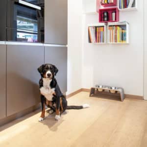 Gamelle double design pour chien – DOG BAR