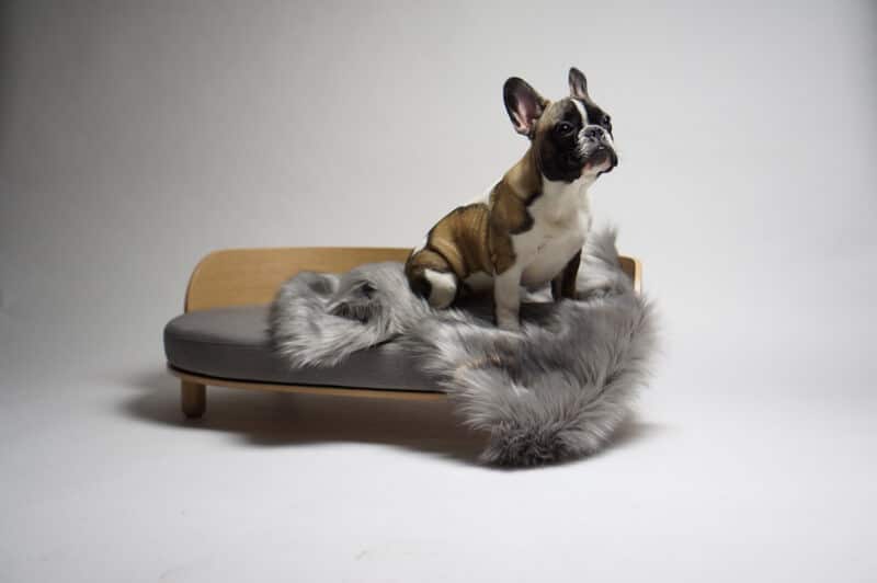 Canapé design pour chien - LOUE DOG BED