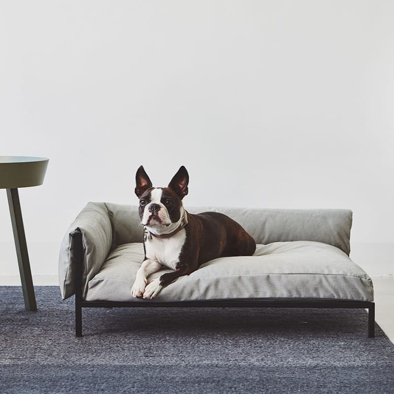 Canapé de luxe pour chien - BRANDINA
