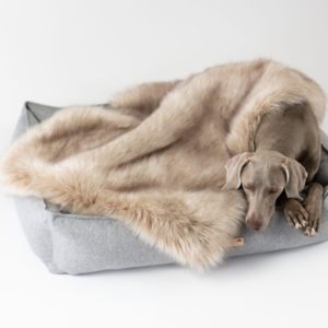 Plaid pour chien fourrure synthétique – FORA