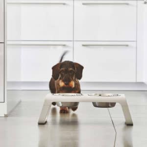 Gamelle haut de gamme chien – DESCO NATURAL