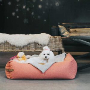 Panier pour chien design scandinave – LOFT