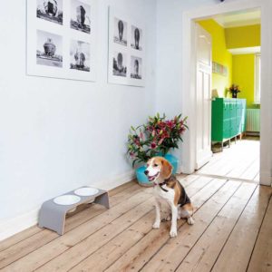 Gamelle surélevée en porcelaine pour chien – DOG BAR