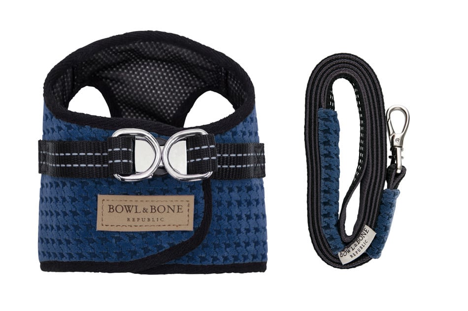 Harnais confortable avec laisse pour chien - SOHO