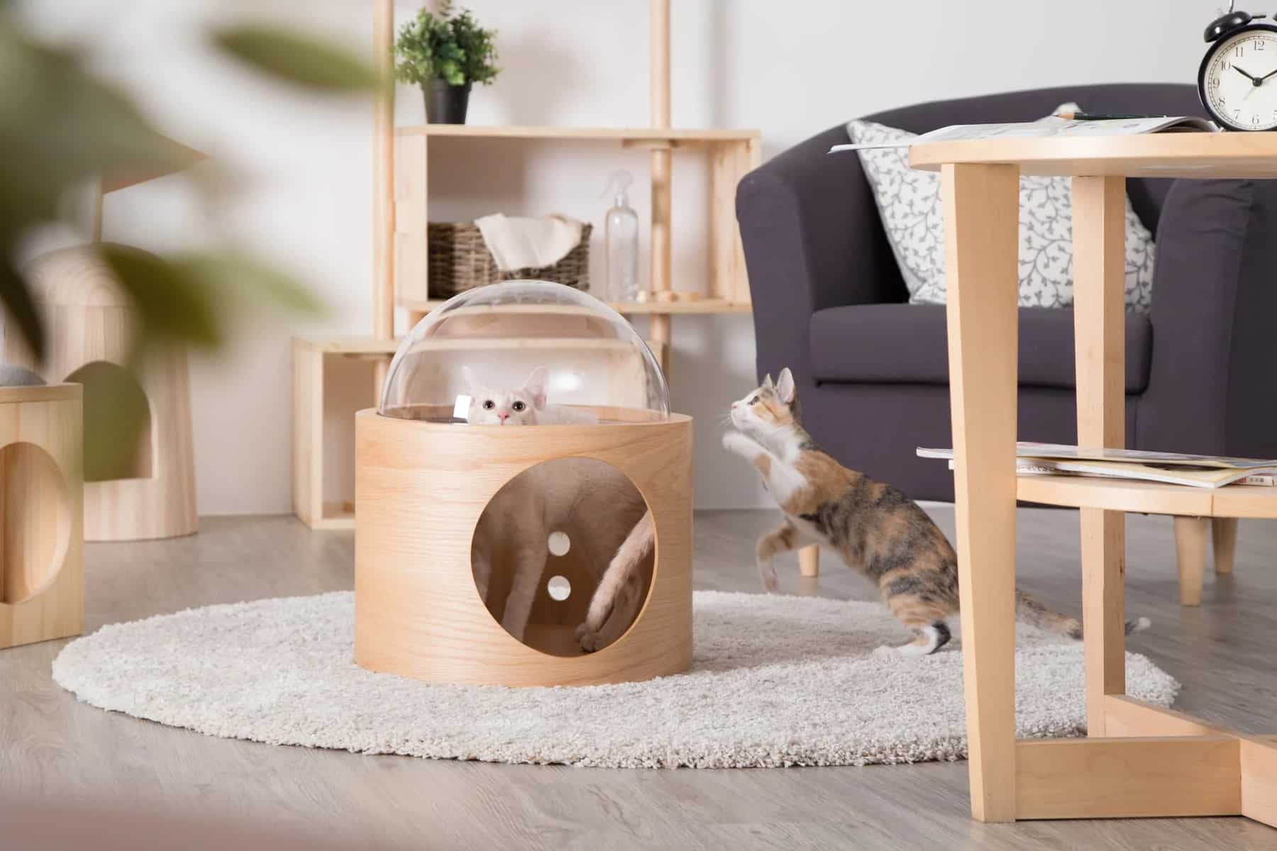Arbre à chat mural design SPACE SHIP GAMMA Arbre à chat mural design SPACE SHIP GAMMA