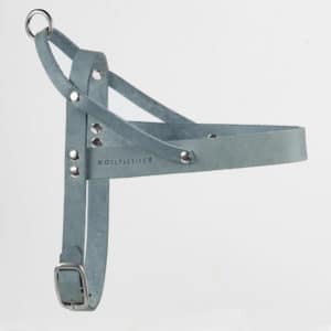 Harnais design et confortable pour chien – BUTTER