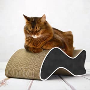 Griffoir en carton design pour chat – KABOU