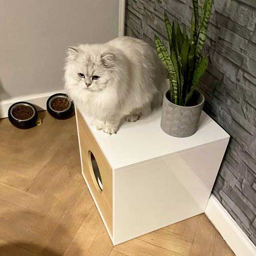 Bac à litière litière design pour chat - DANDY CABINET