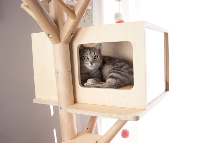 Arbre à chat en bois design - SCANDINAVE