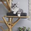 Arbre à chat en bois design - SCANDINAVE