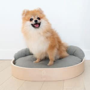 Panier design pour chien – COCOON