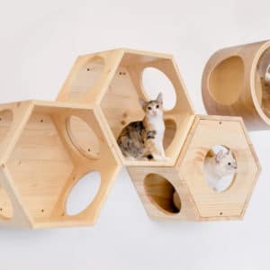 Arbre à chat mural design modulable – COMBO