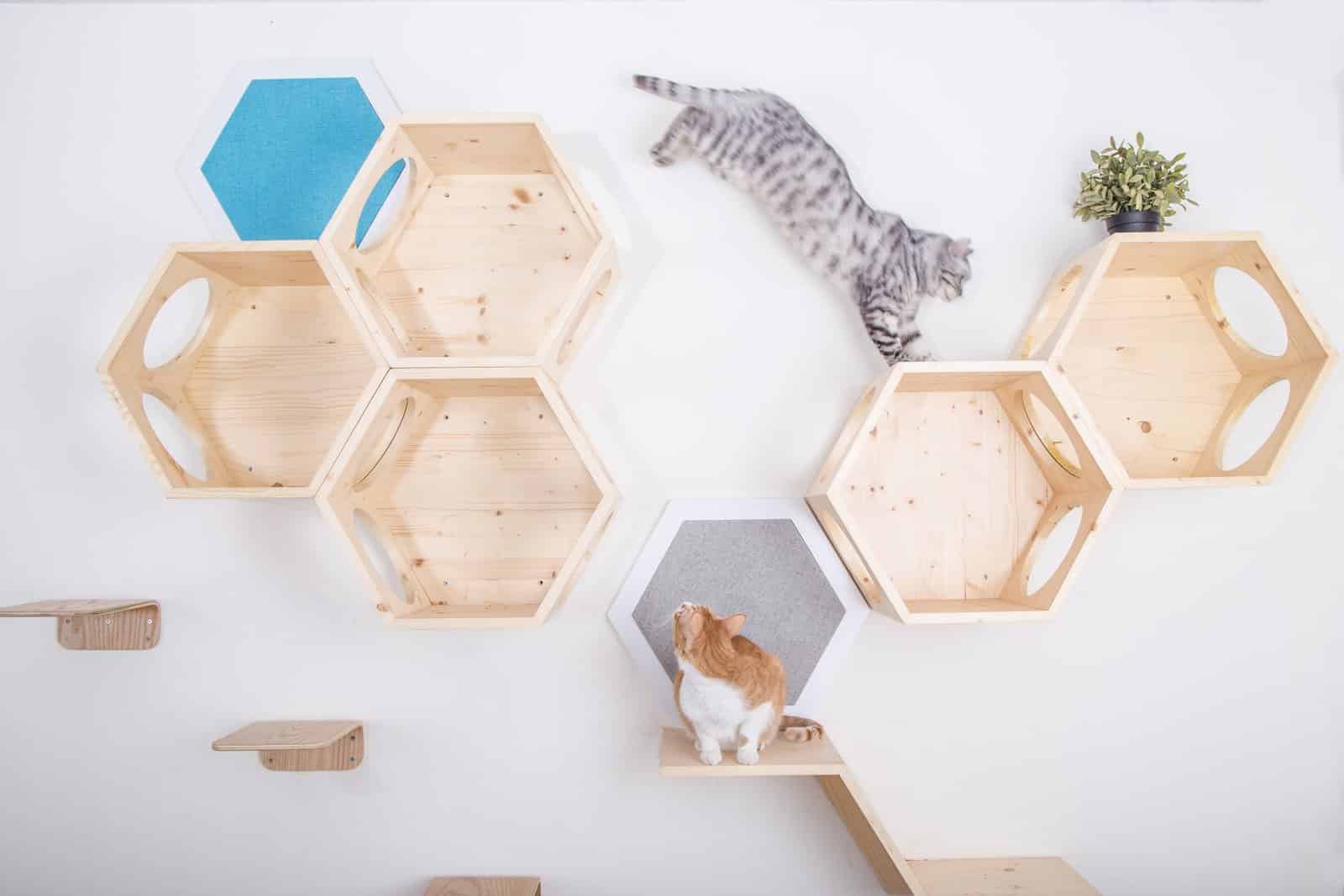 Arbre à chat mural modulable - COMBO Arbre à chat mural modulable - COMBO