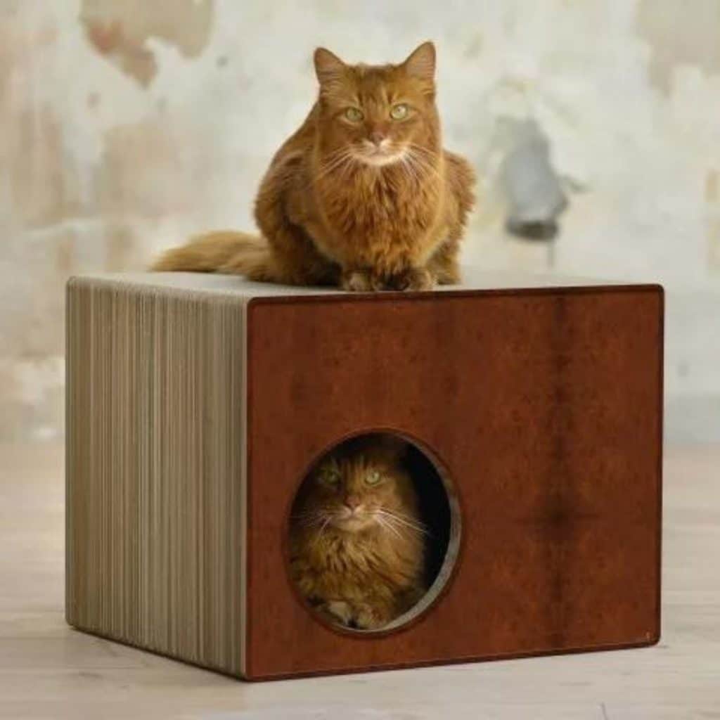 Phredia Eckhaus griffoir carton design cat on maison marron