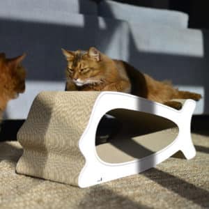 Griffoir en carton design pour chat – LA BALEINE