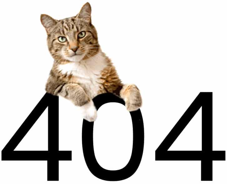 erreur 404 dog and cat design