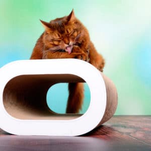 Griffoir en carton design pour chat – LE TRONC XL