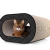Griffoir pour chat design tronc
