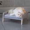 lulu canapé design pour chat