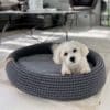 panier design pour chien