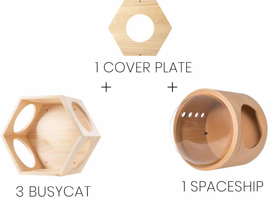 3BUSYCAT+1SPACESHIP+1cover