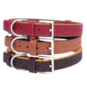 Collier en cuir design pour chien – MONACO