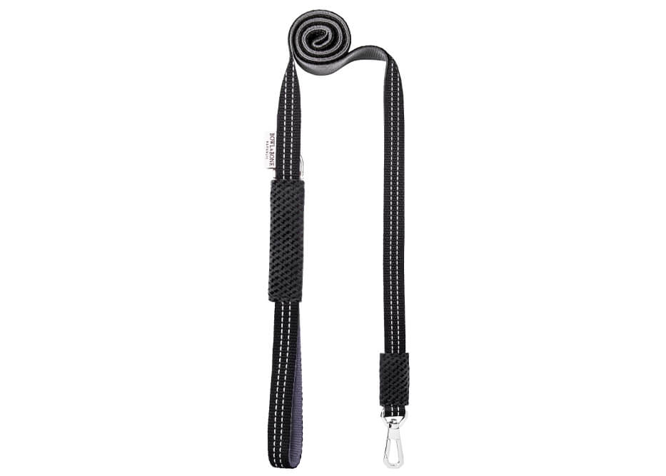 laisse design pour chien