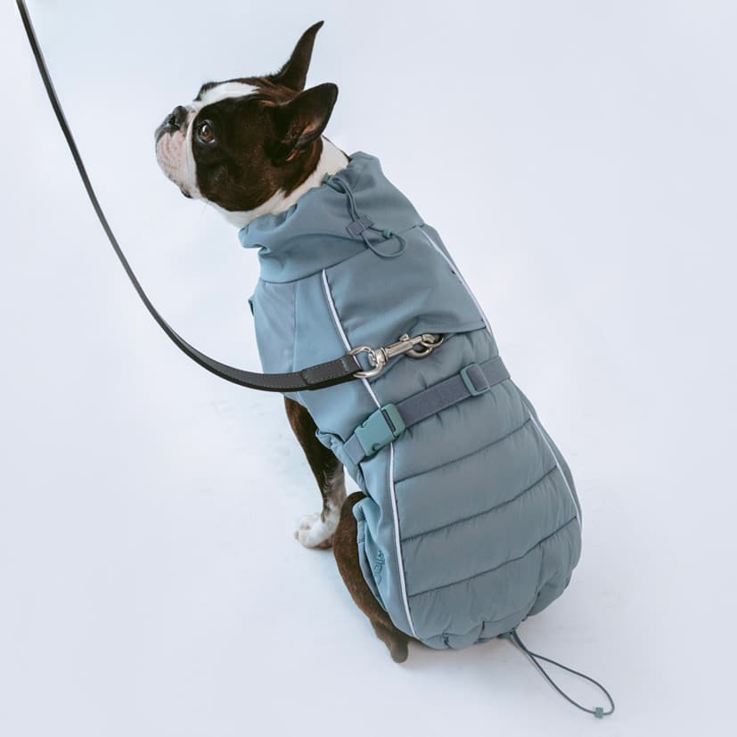 manteau hiver pour chien impermeable stefano