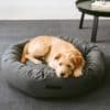 panier design pour chien rondo