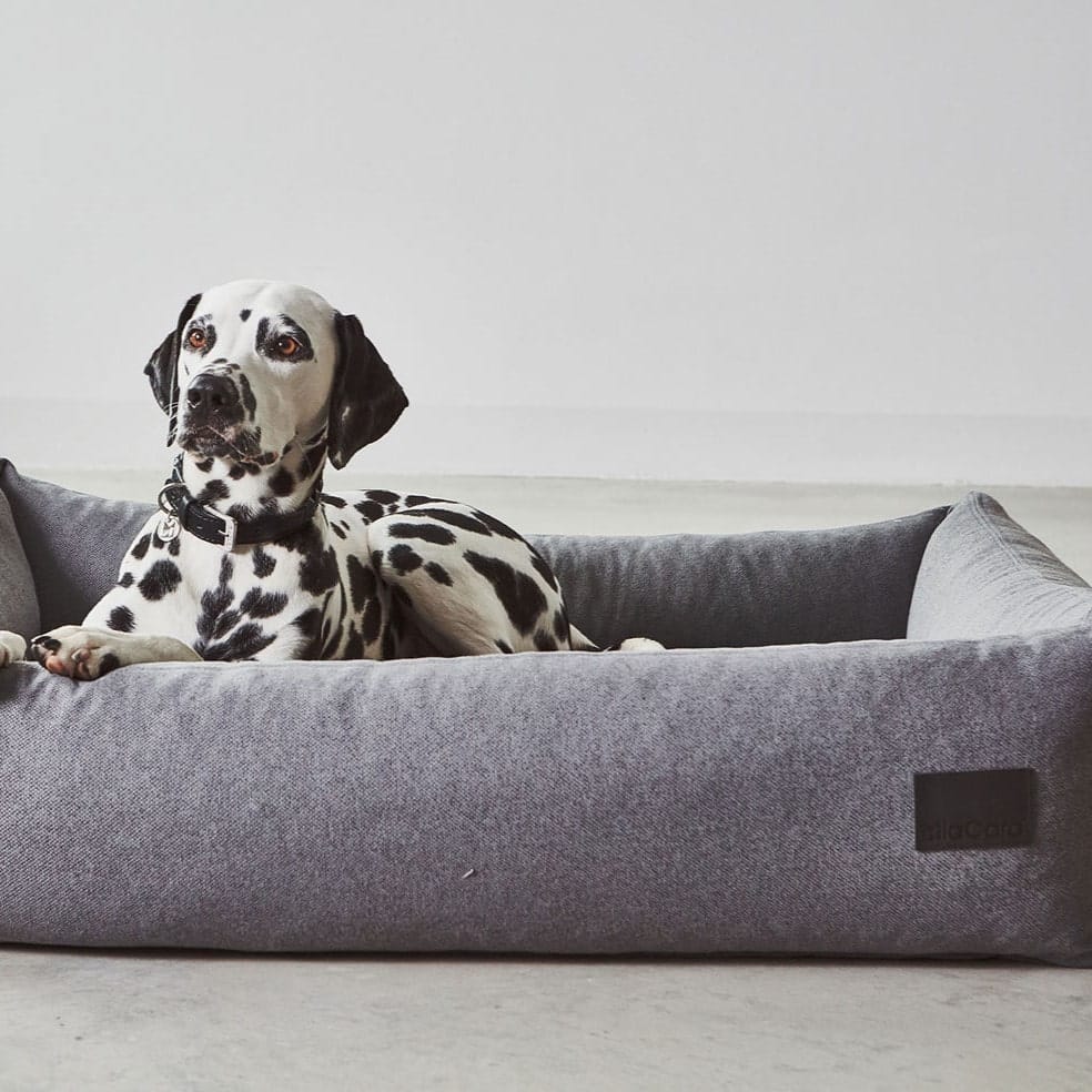 DIVO PANIER CHIEN MIACARA DESIGN LUXE DIVO PANIER CHIEN MIACARA DESIGN LUXE