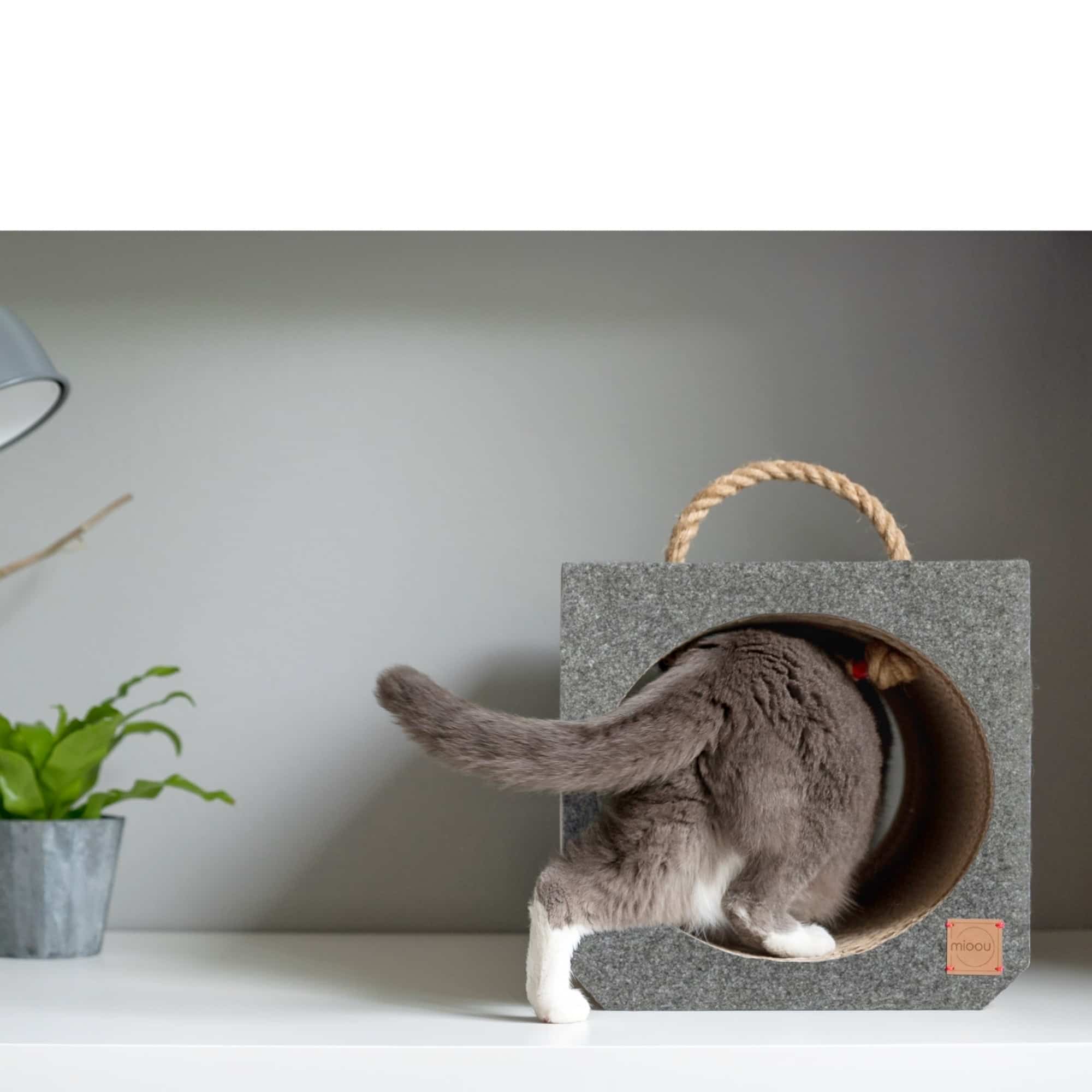 griffoir design mioou france tito dark gray