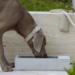 Gamelle design d’extérieur pour chien – TROGOLO